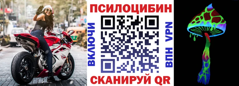 hydra   Котовск  Галлюциногенные грибы MAGIC MUSHROOMS 